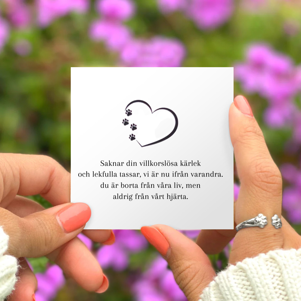 Pfötter Kram Från Himlen Ring